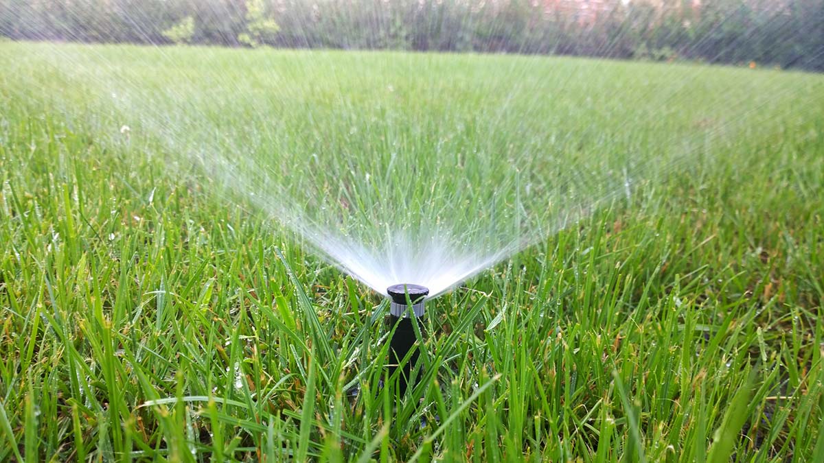 irrigation-installation In-Ground Sprinkler Installation